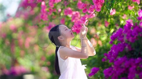 聞花朵散發香味